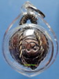 ลูกอมชานหมาก หลวงปู่รอด วัดนายโรง