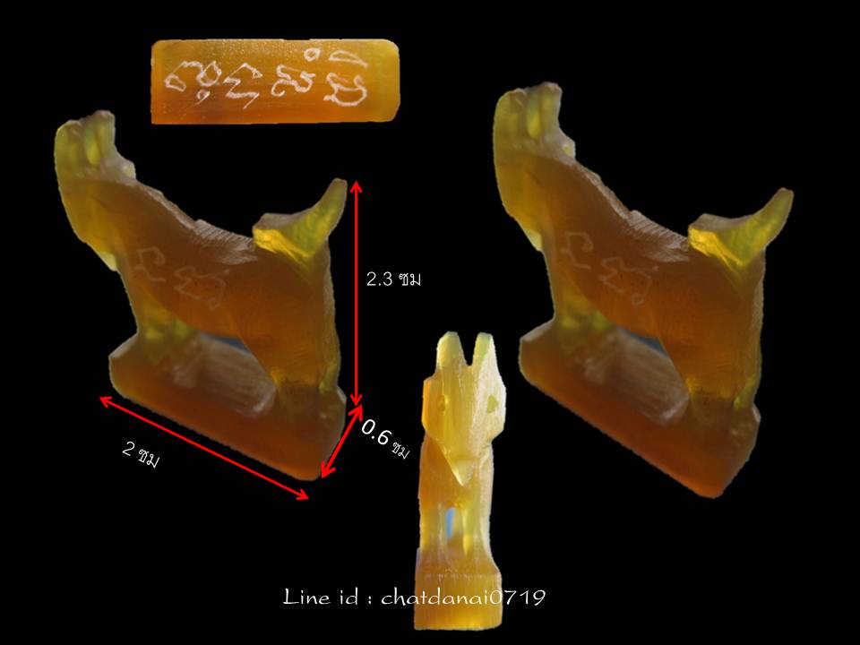 แพะแกะเขาควายเผือก ขนาด 2 x 2.3 ซม หลวงพ่อสิน วัดละหารใหญ่