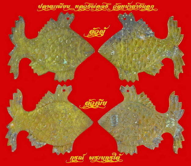 My Image 37