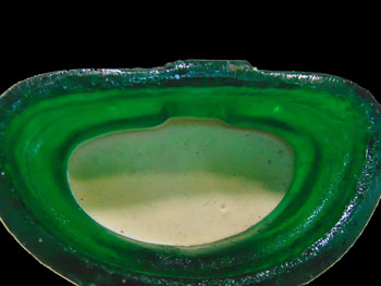 พระแก้วสีเขียว 25 ศตวรรษ หน้าตัก 5 นิ้ว