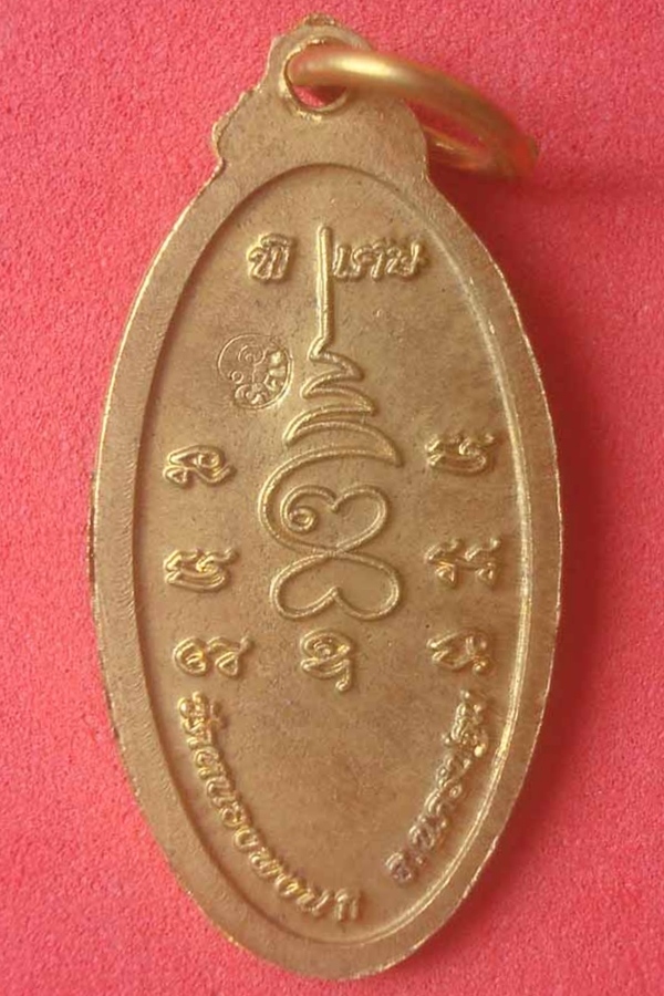 เหรียญหนุนดวงหลวงปู่แผ้ว วัดหนองพงนก พิมพ์เล็กเนื้อทองฝาบาตร(08)