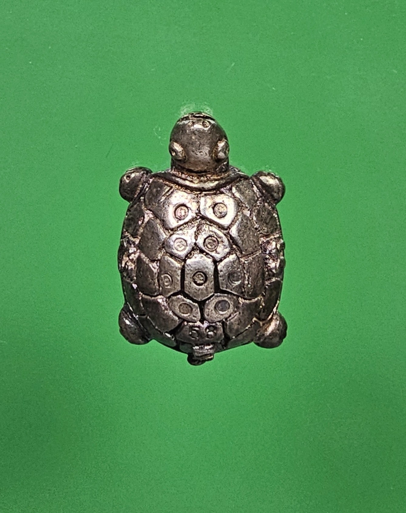 พญาเต่าเรือนเนื้อเงิน หลวงพ่อทอง วัดบ้านไร่