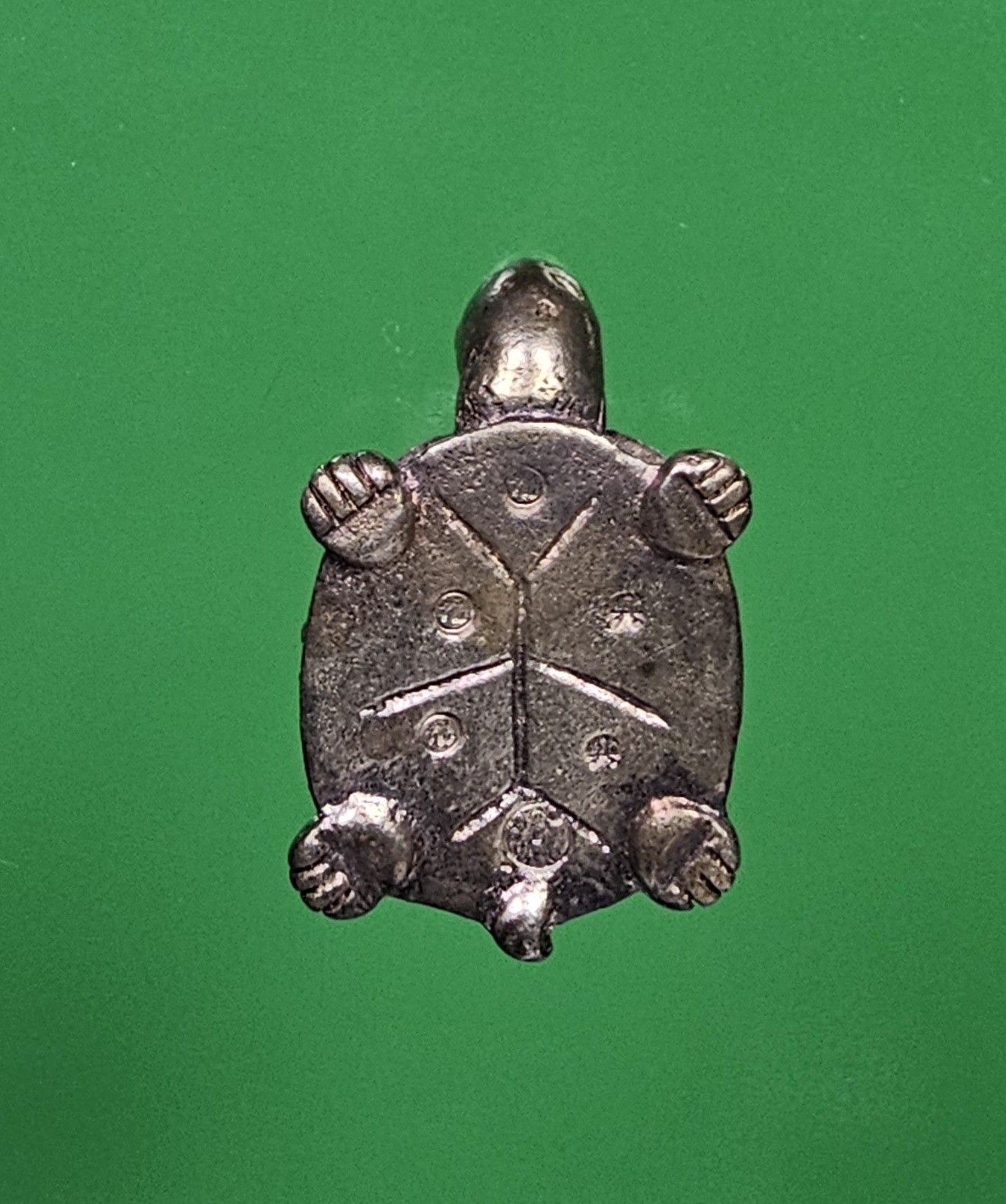 พญาเต่าเรือนเนื้อเงิน หลวงพ่อทอง วัดบ้านไร่