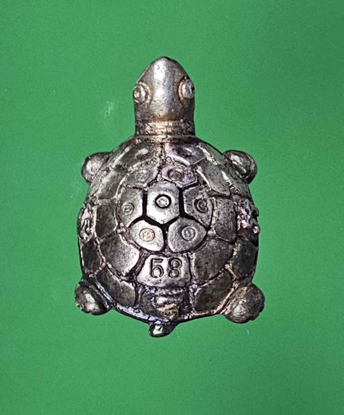 พญาเต่าเรือนเนื้อเงิน หลวงพ่อทอง วัดบ้านไร่