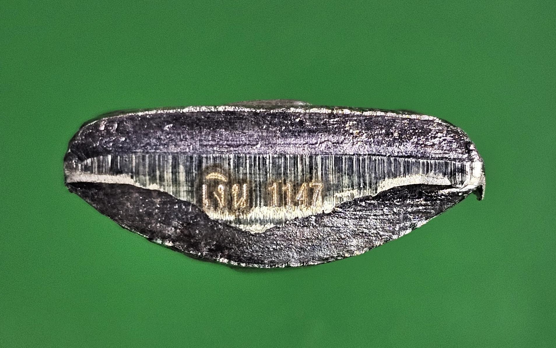 รูปเหมือนปั๊ม หลวงพ่อ ลออ วัดหนองหลวง