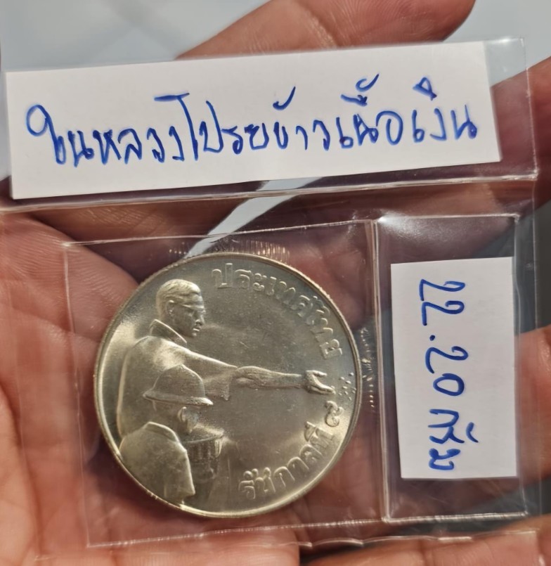 โปรยข้าวเนื้อเงิน