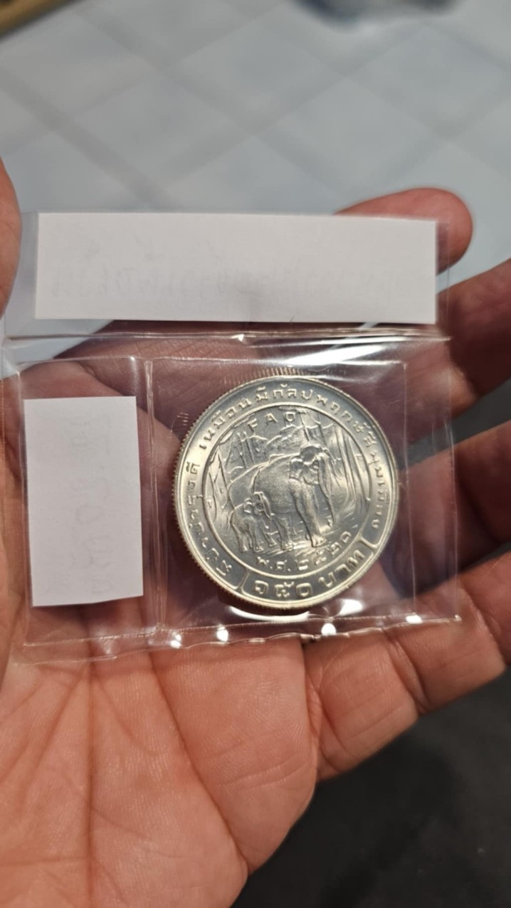 โปรยข้าวเนื้อเงิน