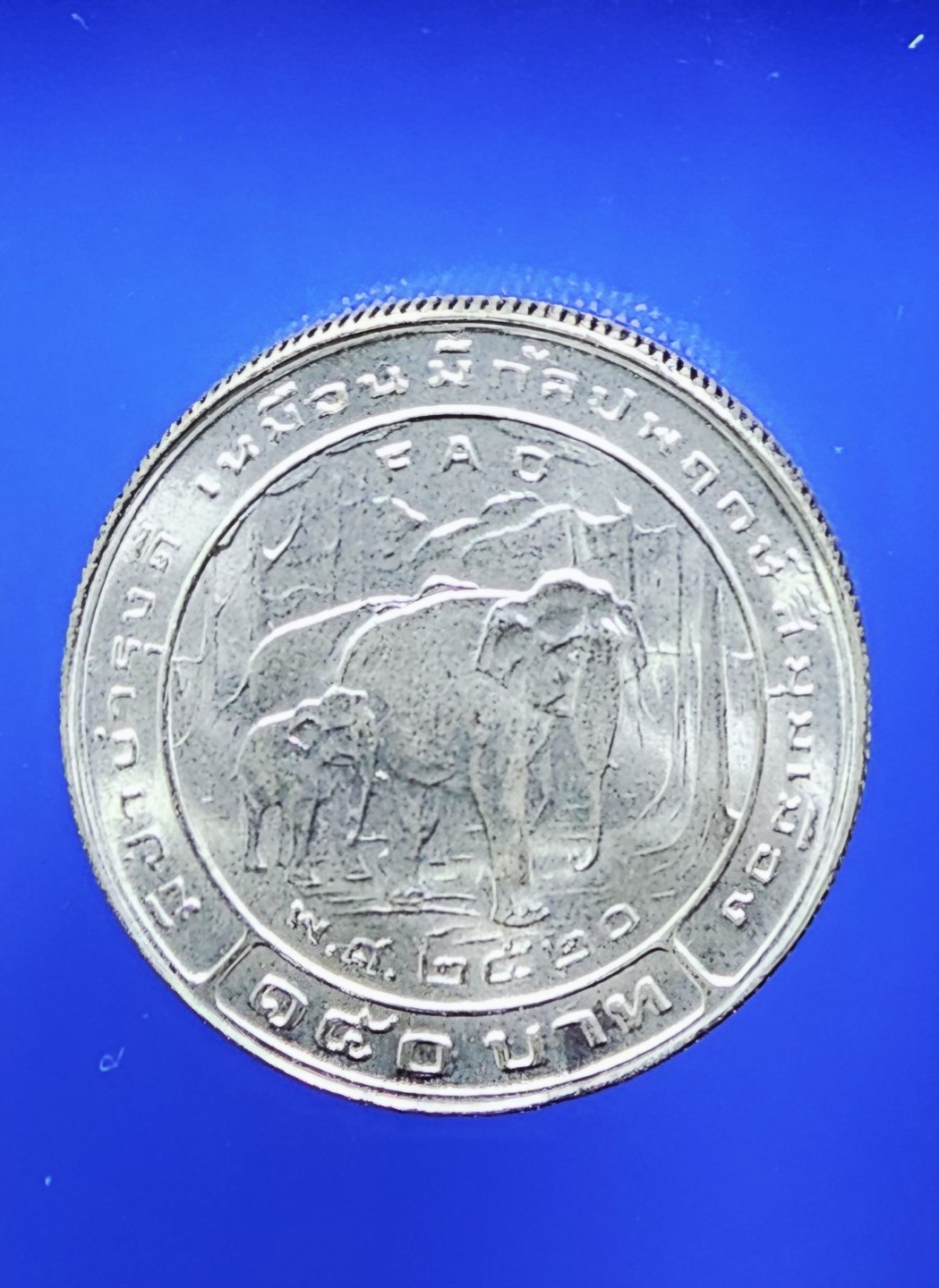 โปรยข้าวเนื้อเงิน